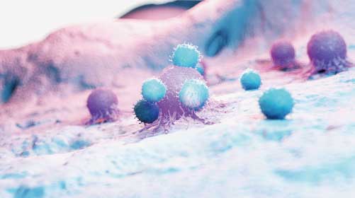 Preventing cancer cells from escaping the immune system &ndash; a promising new study