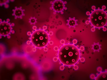 Survey of Coronavirus Treatments | PHCbi