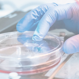 Cell Handling Article | PHCbi