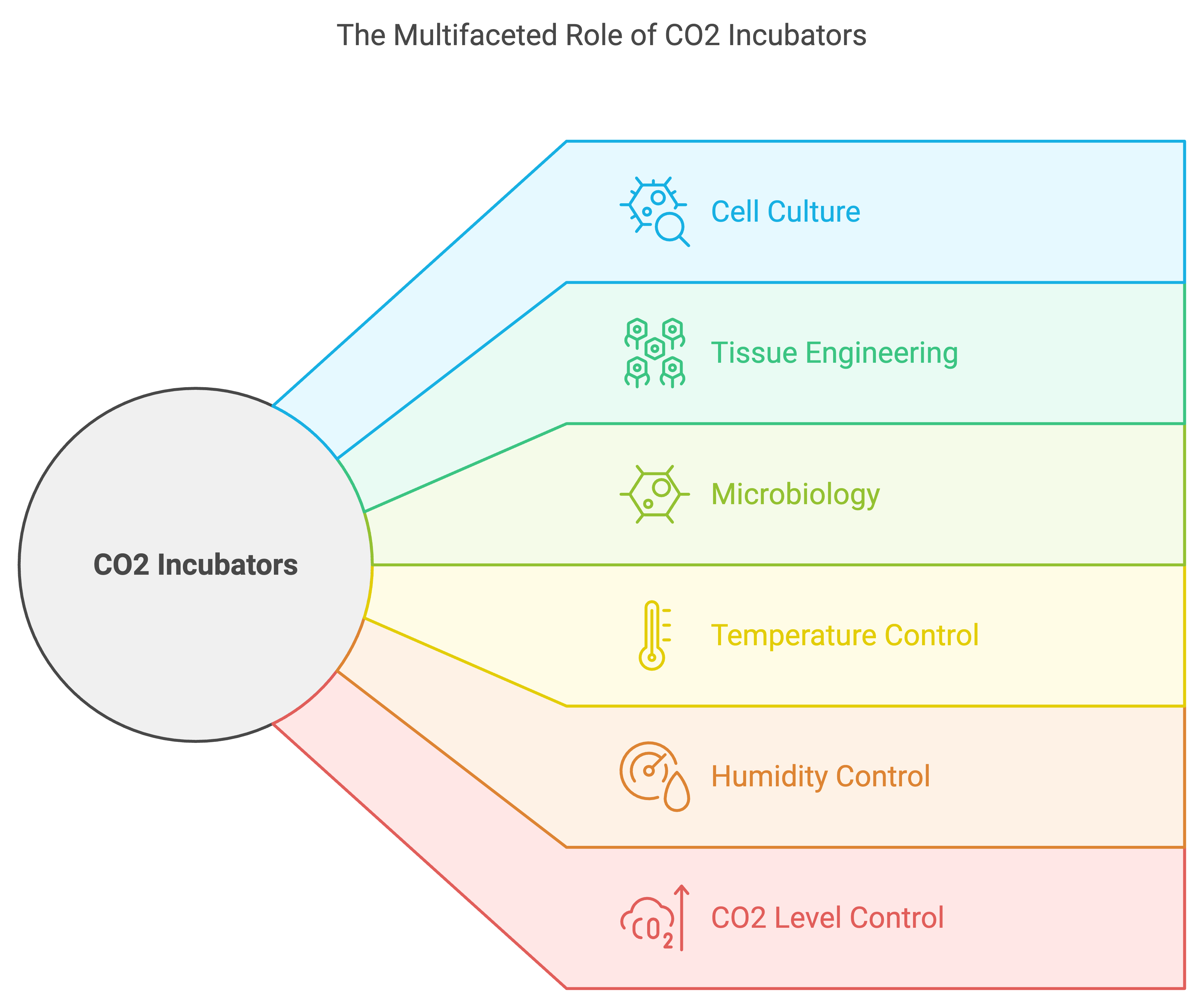 The Multifaceted Role of CO2 Incubators