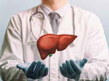 超深冷却によるヒト肝臓の保存