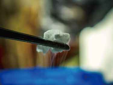 凍結防止剤を用いる細胞冷凍は良い方法とは言えない