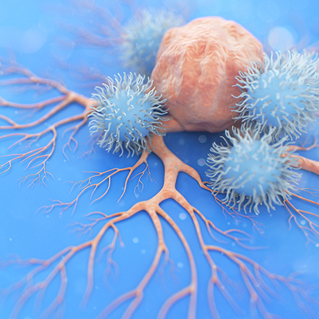 がん免疫研究におけるリアルタイム代謝解析の役割