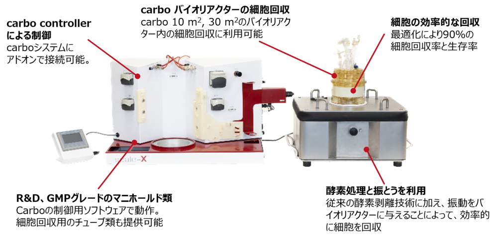 cell collectモジュール