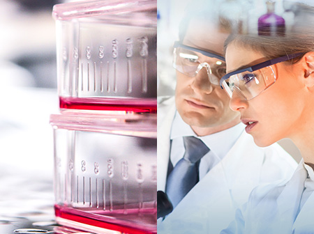 細胞培養が上手く行かないときは、何が起きているのか？