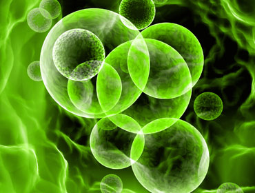 細胞培養が上手く行かないときは、何が起きているのか？