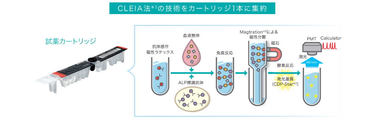 測定原理（BNP他一部項目）