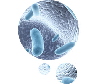 敗血症（Sepsis）マーカープレセプシン イメージ