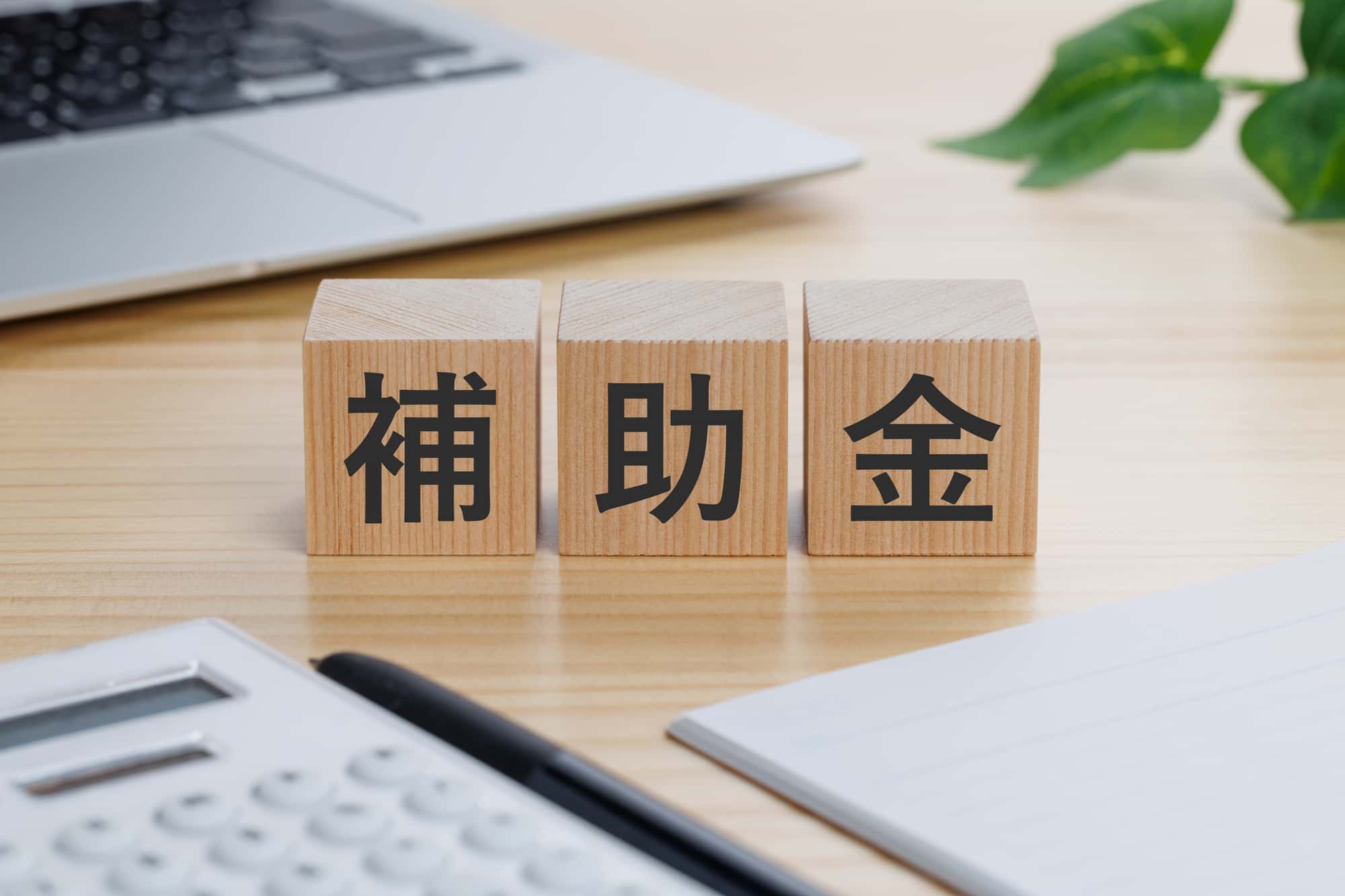【薬局向け】電子薬歴は対象？「デジタル化・AI導入補助金2026」を解説