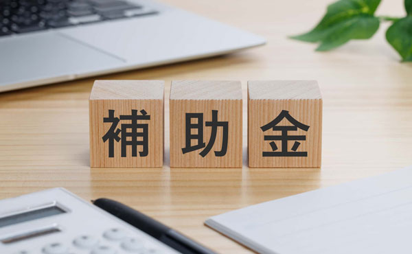 【薬局向け】電子薬歴は対象？「デジタル化・AI導入補助金2026」を解説