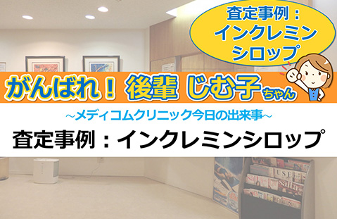 査定事例：インクレミンシロップ