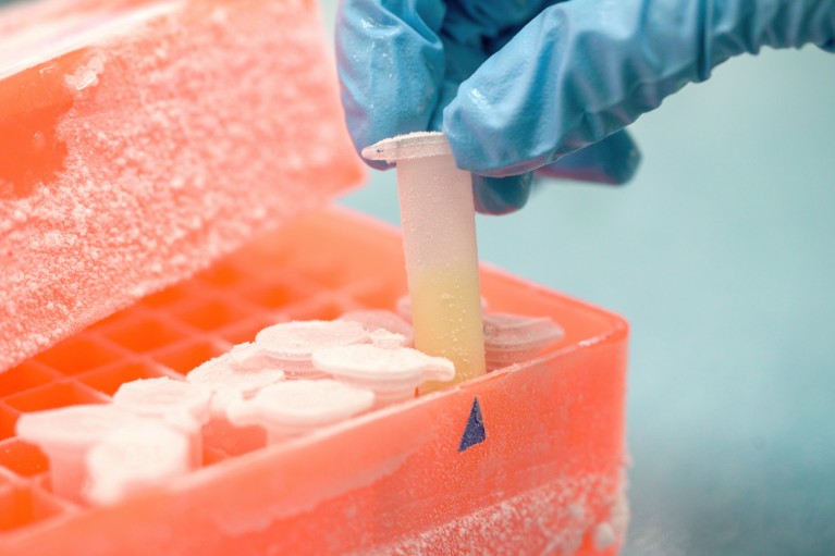 lab freezer cold chain storage